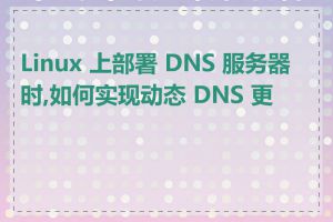 Linux 上部署 DNS 服务器时,如何实现动态 DNS 更新