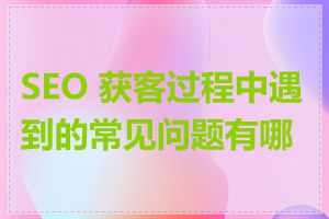 SEO 获客过程中遇到的常见问题有哪些