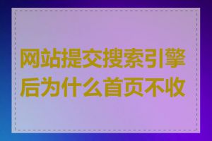 网站提交搜索引擎后为什么首页不收录