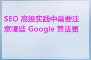 SEO 高级实践中需要注意哪些 Google 算法更新