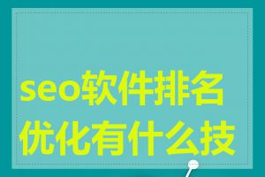 seo软件排名优化有什么技巧