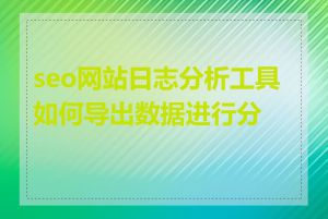 seo网站日志分析工具如何导出数据进行分析