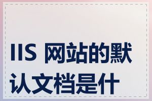 IIS 网站的默认文档是什么