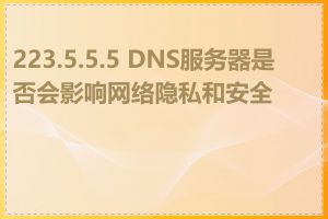 223.5.5.5 DNS服务器是否会影响网络隐私和安全性