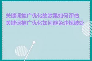 关键词推广优化的效果如何评估_关键词推广优化如何避免违规被处罚