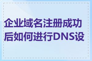 企业域名注册成功后如何进行DNS设置