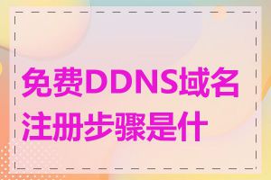 免费DDNS域名注册步骤是什么