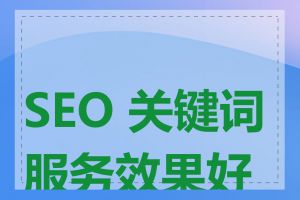 SEO 关键词服务效果好吗