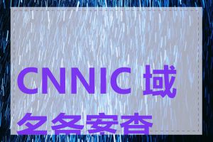 CNNIC 域名备案查询