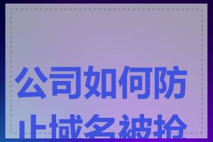 公司如何防止域名被抢注