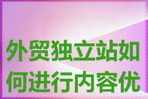 外贸独立站如何进行内容优化