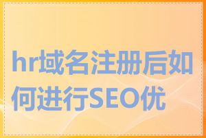 hr域名注册后如何进行SEO优化