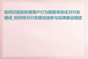 如何识别和利用用户行为数据来优化SEO关键词_如何将SEO关键词选择与品牌建设相结合