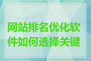 网站排名优化软件如何选择关键词