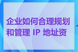 企业如何合理规划和管理 IP 地址资源