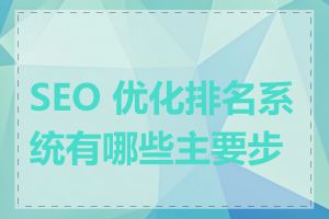 SEO 优化排名系统有哪些主要步骤