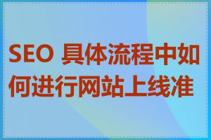 SEO 具体流程中如何进行网站上线准备