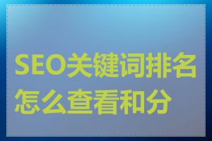 SEO关键词排名怎么查看和分析