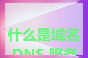 什么是域名 DNS 服务商