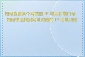 如何查看某个网站的 IP 地址和端口号_如何快速找到网址对应的 IP 地址和端口