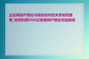 企业网站IP地址与域名的对应关系如何查看_如何利用DNS记录查找IP地址对应的域名