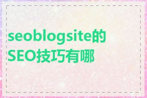 seoblogsite的SEO技巧有哪些