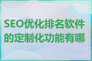 SEO优化排名软件的定制化功能有哪些