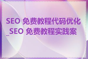 SEO 免费教程代码优化_SEO 免费教程实践案例