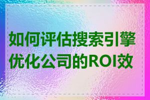 如何评估搜索引擎优化公司的ROI效果