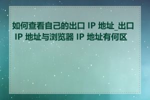 如何查看自己的出口 IP 地址_出口 IP 地址与浏览器 IP 地址有何区别