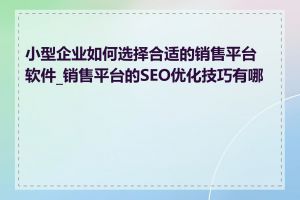 小型企业如何选择合适的销售平台软件_销售平台的SEO优化技巧有哪些