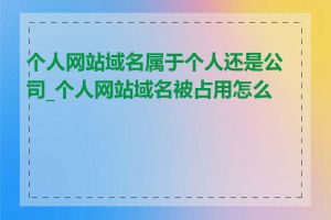 个人网站域名属于个人还是公司_个人网站域名被占用怎么办