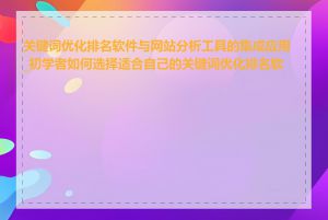 关键词优化排名软件与网站分析工具的集成应用_初学者如何选择适合自己的关键词优化排名软件