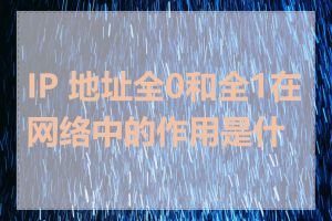 IP 地址全0和全1在网络中的作用是什么