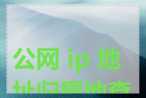 公网 ip 地址归属地查询