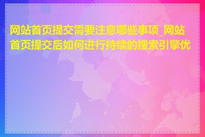 网站首页提交需要注意哪些事项_网站首页提交后如何进行持续的搜索引擎优化