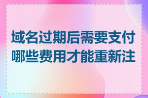 域名过期后需要支付哪些费用才能重新注册