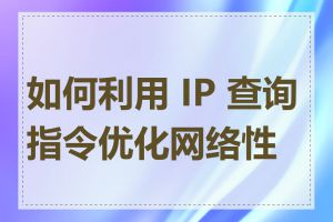 如何利用 IP 查询指令优化网络性能