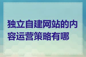 独立自建网站的内容运营策略有哪些