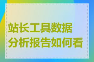 站长工具数据分析报告如何看懂