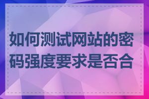 如何测试网站的密码强度要求是否合理