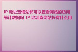 IP 地址查询站长可以查看网站的访问统计数据吗_IP 地址查询站长有什么用途