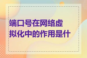 端口号在网络虚拟化中的作用是什么