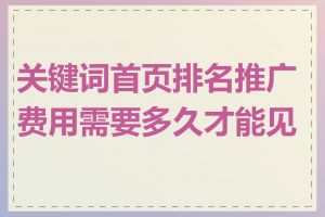 关键词首页排名推广费用需要多久才能见效