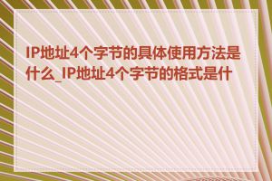 IP地址4个字节的具体使用方法是什么_IP地址4个字节的格式是什么