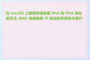 在 macOS 上使用终端查看 IPv4 和 IPv6 地址的方法_MAC 电脑查看 IP 地址的终端命令是什么