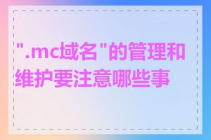 ".mc域名"的管理和维护要注意哪些事项