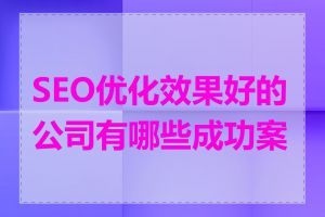 SEO优化效果好的公司有哪些成功案例