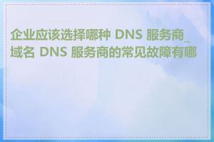 企业应该选择哪种 DNS 服务商_域名 DNS 服务商的常见故障有哪些