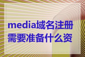 media域名注册需要准备什么资料